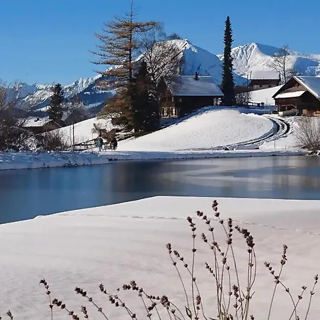 Obererli By Interhome Lejlighed Hasliberg