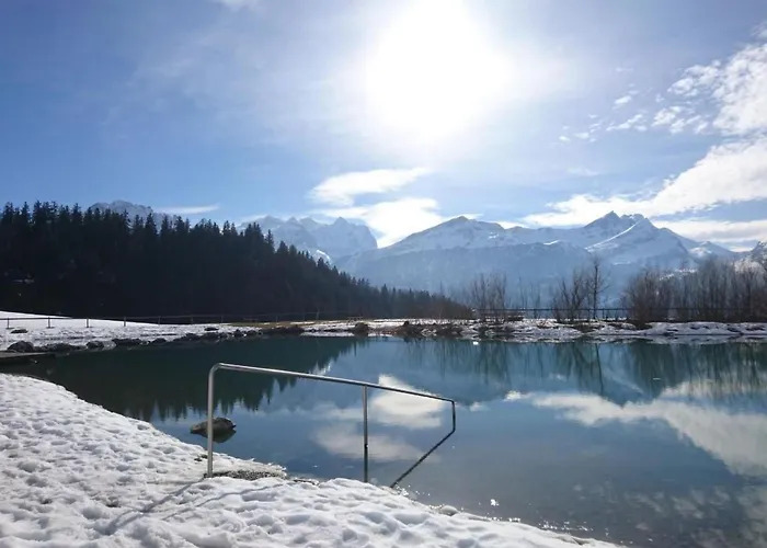 Apartment Obererli By Interhome Hasliberg