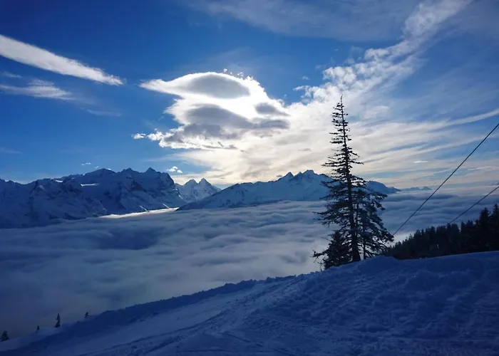 Obererli By Interhome Lejlighed Hasliberg