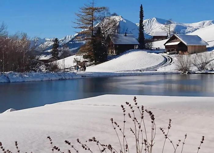 Obererli By Interhome Appartamento Hasliberg